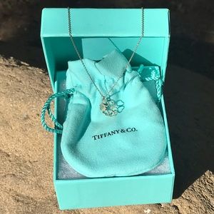 Tiffany’s Necklace